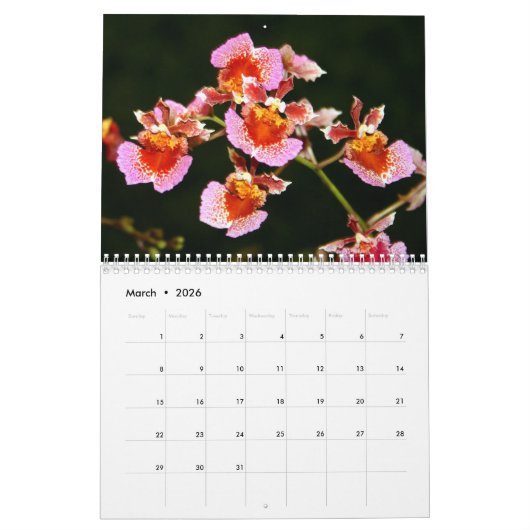 Orchid Flowers 2020 Agenda Kalender (Mar 2026)