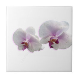 Orchid Flowers Ceramic Tile Tegeltje