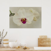 Orchid Flowers close-up Art Poster (Keuken)