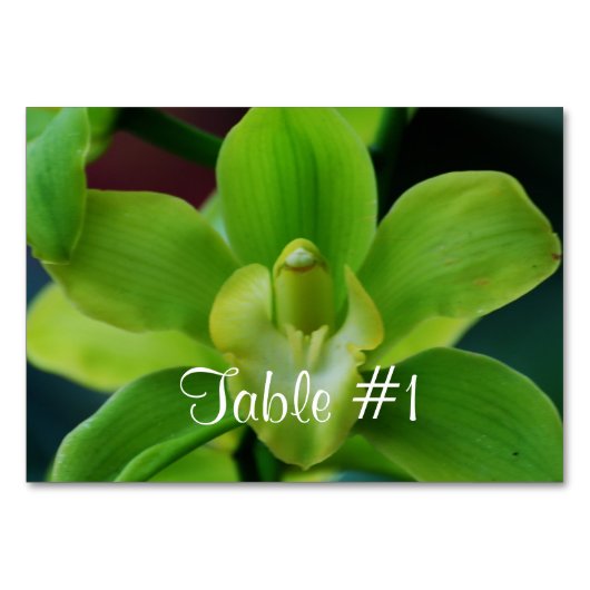 Orchid Flowers Kaart (Voorkant)