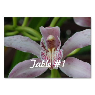 Orchid Flowers Kaart