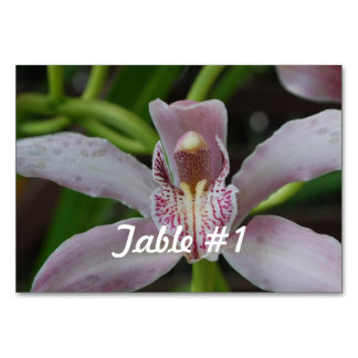 Orchid Flowers Kaart