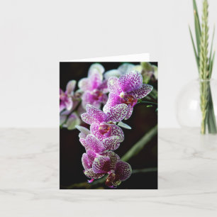 Orchid Flowers Photo Note Card Kaart