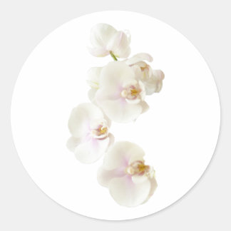 Orchid Flowers Ronde Sticker