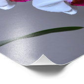 Orchid Foto Afdruk (Hoek)