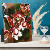 Orchid Fotoplaat (Zijkant)
