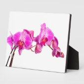 Orchid Fotoplaat (Zijkant)