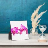 Orchid Fotoplaat (Insitu)