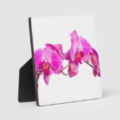 Orchid Fotoplaat (Voorkant)