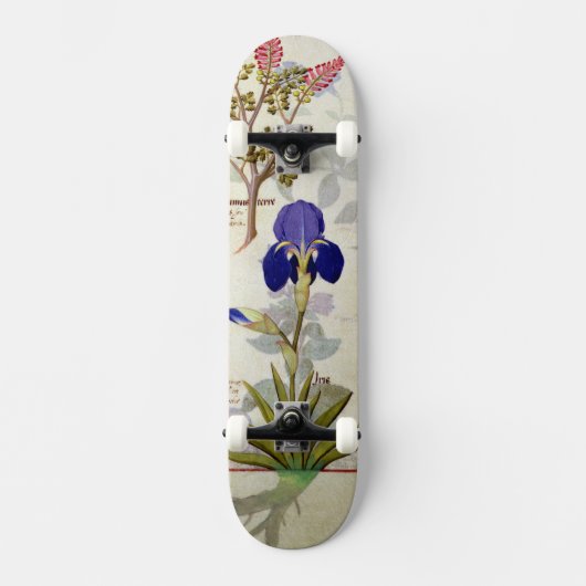 Orchid & Fumitory of Bleeding Heart Hedera & Iris Skateboard (Voorkant)