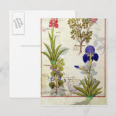 Orchid & Fumitory or Bleeding Heart Hedera & Iris Briefkaart (Voorkant / Achterkant)