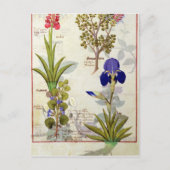 Orchid & Fumitory or Bleeding Heart Hedera & Iris Briefkaart (Voorkant)