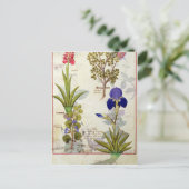 Orchid & Fumitory or Bleeding Heart Hedera & Iris Briefkaart (Staand voorkant)