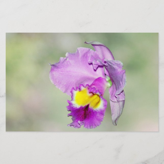 Orchid geraakt door God voor mam (Voorkant)