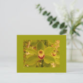 Orchid Green Cymbidium Briefkaart (Staand voorkant)