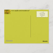 Orchid Green Cymbidium Briefkaart (Achterkant)