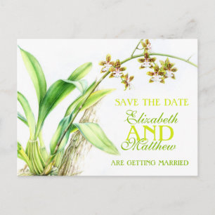 Orchid greenery beschilderde bloem, behalve de dat aankondigingskaart