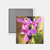 Orchid in Crepe Myrtle Tree Magnet (Voorkant / Achterkant)