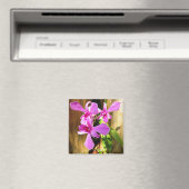 Orchid in Crepe Myrtle Tree Magnet (Insitu (Vaatwasser))