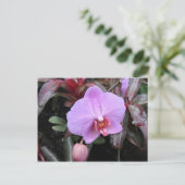 Orchid in de tuin briefkaart (Staand voorkant)