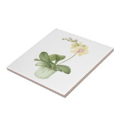 Orchid in een groene pot met botanische keramische tegeltje (Zijkant)