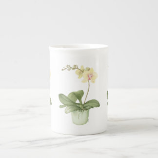 Orchid in Green Pot in Botanical Bone China Mok