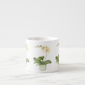Orchid in Green Pot in Botanical Espresso Mok
