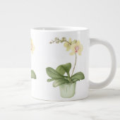 Orchid in Green Pot in Botanische Grote Mok (Rechts)