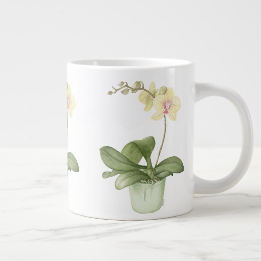 Orchid in Green Pot in Botanische Grote Mok (Rechts)