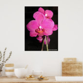 Orchid in het Poster Bloom (Keuken)
