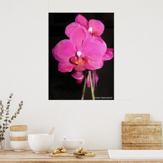Orchid in het Poster Bloom (Keuken)