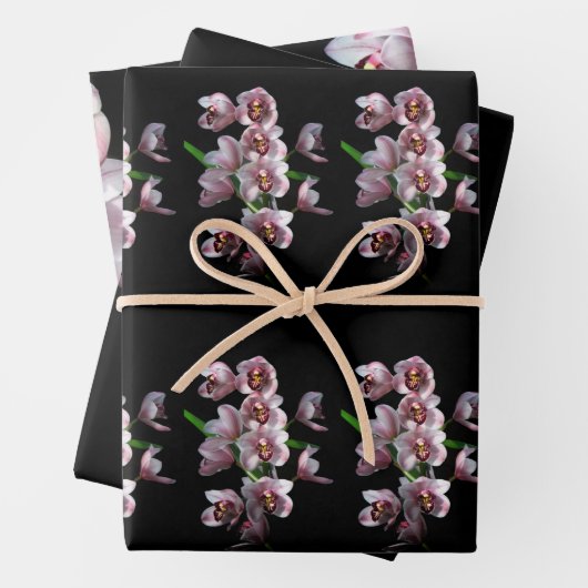 Orchid Insanity on Black Inpakpapier Vel (In situ)