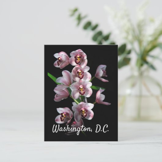 Orchid Insanity on Black, Washington, DC Briefkaart (Staand voorkant)