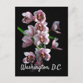 Orchid Insanity on Black, Washington, DC Briefkaart (Voorkant)