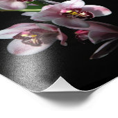 Orchid Insanity op zwart Foto Afdruk (Hoek)