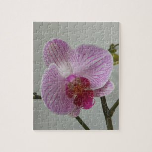 Orchid Jigzaag Puzzle Legpuzzel