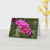 Orchid, kaart (Gele Bloem)