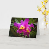 Orchid, kaart (Gele Bloem)