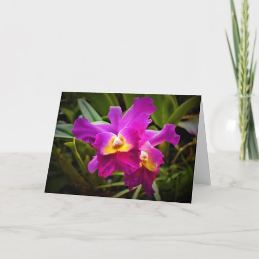 Orchid, kaart (Voorkant)