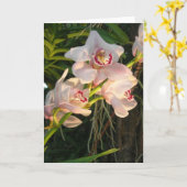 Orchid Kaart (Gele Bloem)
