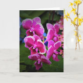 Orchid, kaart (Gele Bloem)