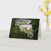 Orchid, kaart (Gele Bloem)