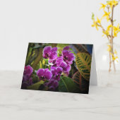 Orchid, kaart (Gele Bloem)