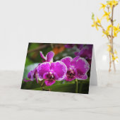 Orchid, kaart (Gele Bloem)