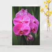 Orchid, kaart (Gele Bloem)