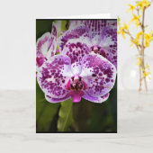 Orchid, kaart (Gele Bloem)