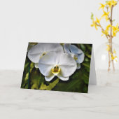 Orchid, kaart (Gele Bloem)