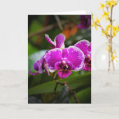 Orchid, kaart (Gele Bloem)