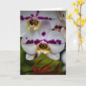 Orchid, kaart (Gele Bloem)