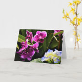 Orchid, kaart (Gele Bloem)